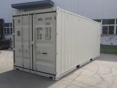conteneur maritime 20 pieds dry van blanc